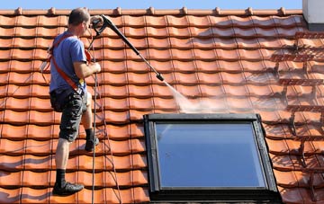 roof cleaning Walcot Green, Norfolk
